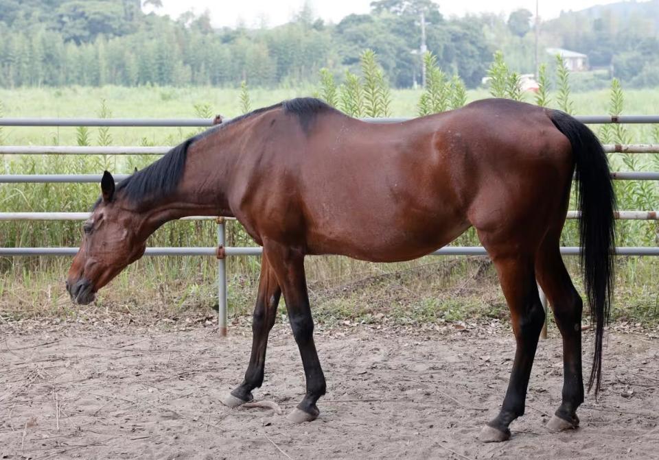 突然加重, com 突然加重, com